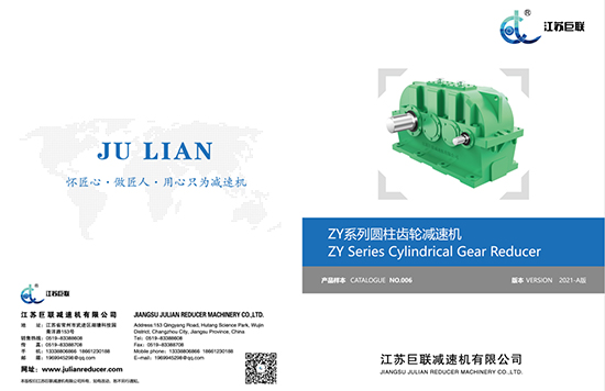 Jiangsu Julian Zy Probe 2021